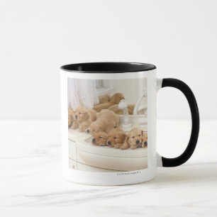 Golden retriever; ist ein verhältnismäßig moder tasse