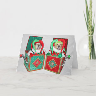 Golden Retriever Jack in der Box Weihnachten Karte