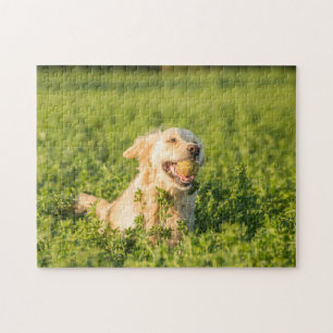 Golden Retriever Jig Saw Puzzle