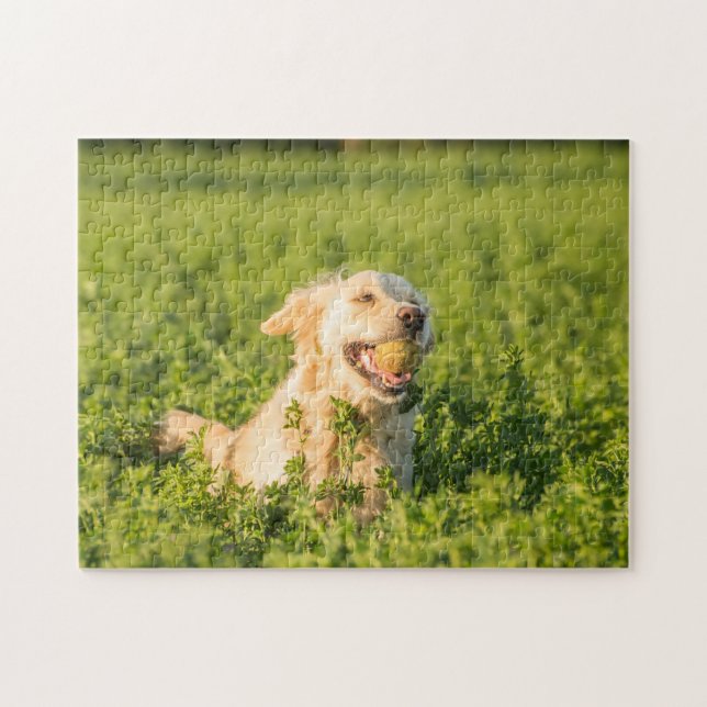 Golden Retriever Jig Saw Puzzle (Horizontal)