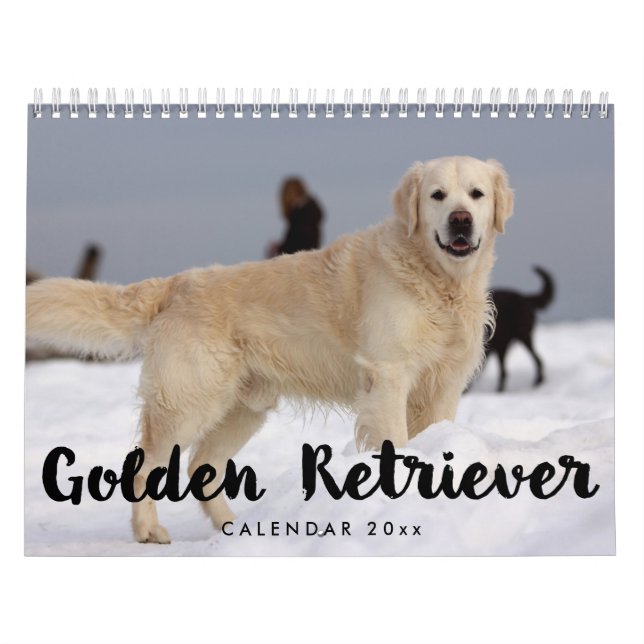 Golden Retriever Kalender 2023 Fotos hinzufügen (Titelbild)