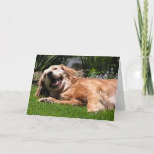 Golden Retriever Karte