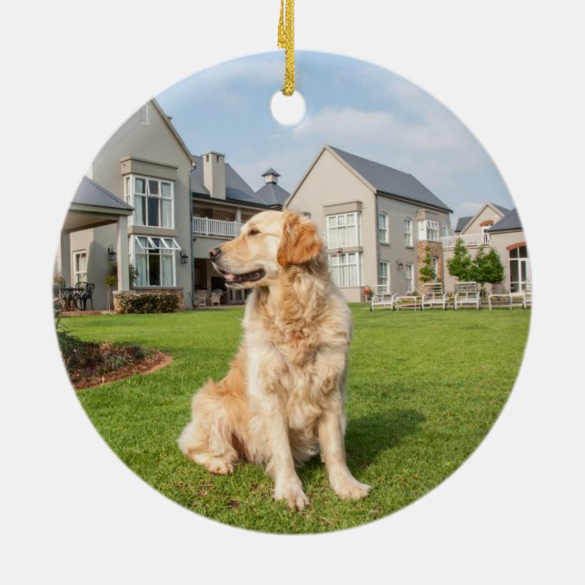 Golden Retriever Keramik Ornament (Hinten)