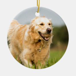 Golden Retriever Keramik Ornament