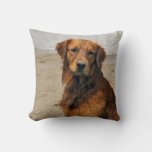 Golden Retriever Kunst, Dichtung und Musik