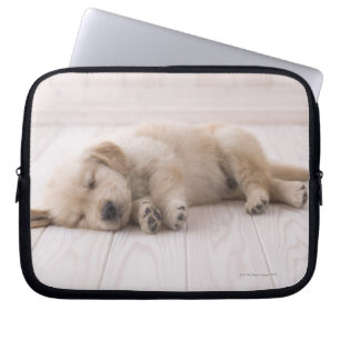 Golden retriever laptopschutzhülle