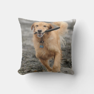 Golden Retriever läuft mit Stock im Maul Kissen