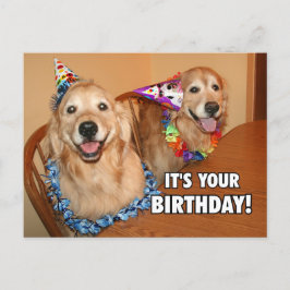 Golden Retriever Let's Party Geburtstag Einladungspostkarte