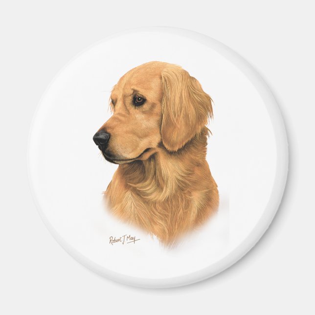 Golden Retriever Magnet (Vorne)