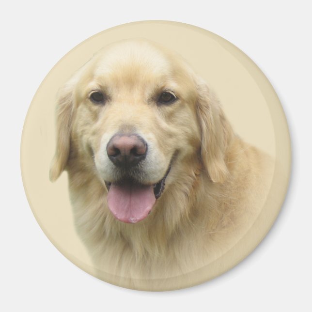 Golden Retriever Magnet (Vorne)