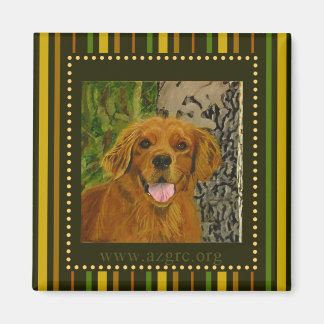 Golden Retriever Magnet AZGRC gestreift