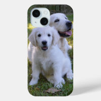 Golden Retriever Mama Hund und Welpe