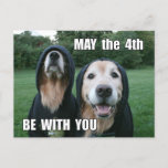 Golden Retriever May the 4th Be With You Parody Postkarte<br><div class="desc">This parody postcard feature a photograph of two golden retriever dogs dressed in sci-fi costories,  with the saying,  "May the 4th Be With You." Customizable text on the back reads,  "Enjoy the day,  you will."</div>