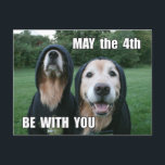 Golden Retriever May the 4th Be With You Parody Postkarte<br><div class="desc">This parody postcard feature a photograph of two golden retriever dogs dressed in sci-fi costories,  with the saying,  "May the 4th Be With You." Customizable text on the back reads,  "Enjoy the day,  you will."</div>