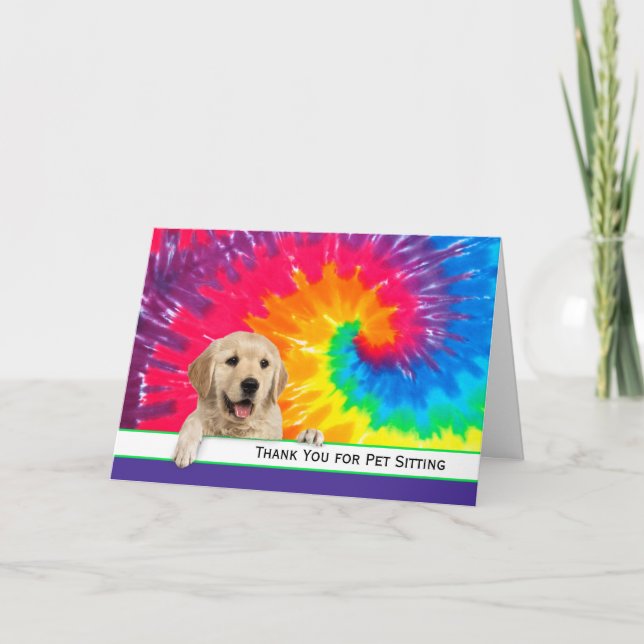 Golden Retriever Merci for Pet Sitting (Devant)