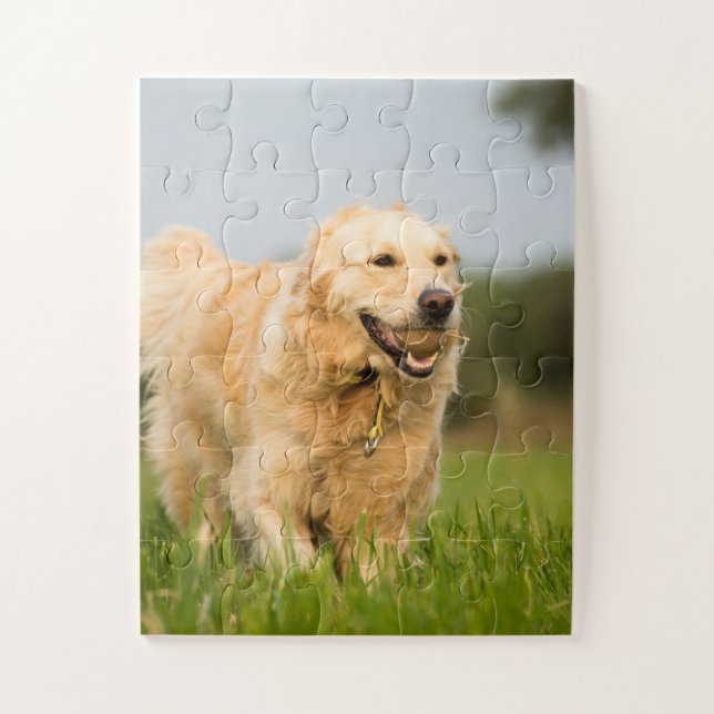 Golden Retriever mit Ball (Vertikal)