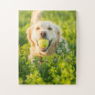 Golden Retriever mit Ball