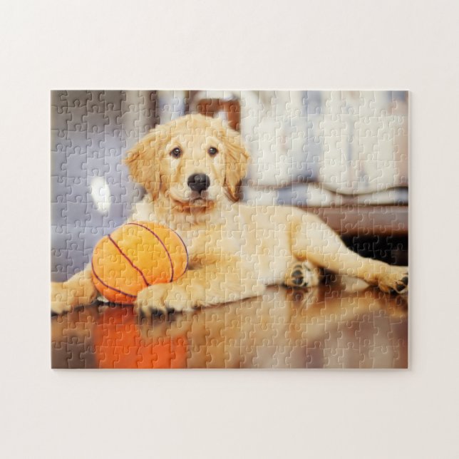 Golden Retriever mit Basketballspielzeug (Horizontal)