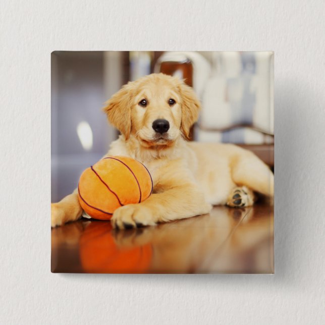 Golden Retriever mit Basketballspielzeug Button (Vorderseite)