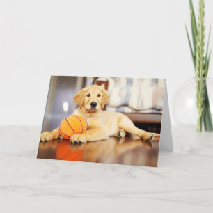 Golden Retriever mit Basketballspielzeug Karte