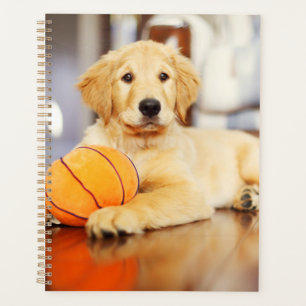Golden Retriever mit Basketballspielzeug Planer
