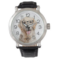 Golden Retriever mit Brille