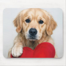 Golden Retriever mit einem roten Herz-Kissen