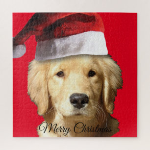 Golden Retriever mit einem Weihnachtshut