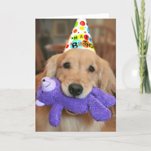 Golden Retriever mit Happy Birthday Hut und Spielz Karte
