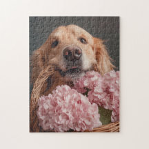 Golden Retriever mit Korb aus rosa Hydrangeas