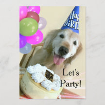 Golden retriever mit Kuchen-und Ballon-Geburtstag