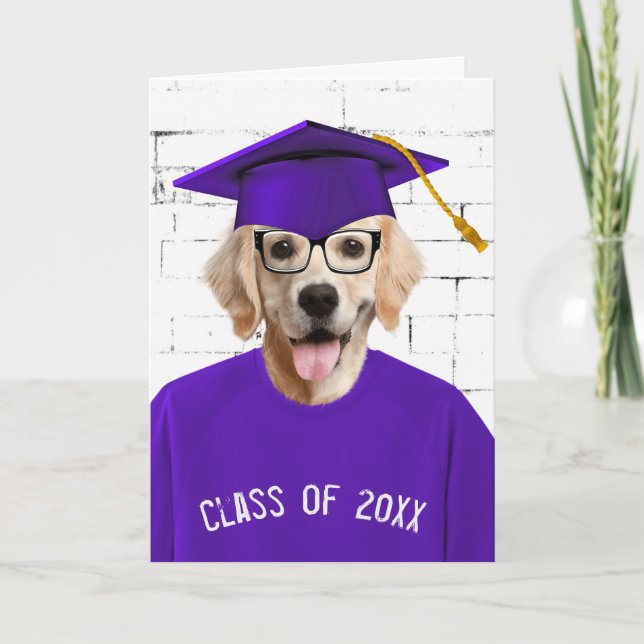 Golden Retriever mit Lila Cap Karte (Vorderseite)