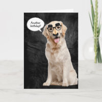 Golden Retriever mit lustiger Maske aus Leder