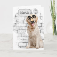 Golden Retriever mit lustiger Maske Geburtstag