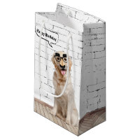 Golden Retriever mit Mustache Maske Kleine Geschen