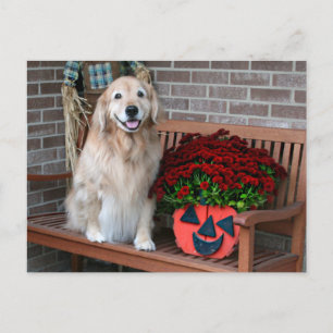 Golden Retriever mit Pumpkin Planter Postkarte