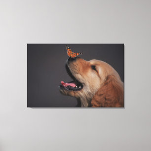 Golden Retriever mit Schmetterling auf seiner Nase Leinwanddruck