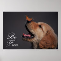 Golden Retriever mit Schmetterling auf seiner Nase