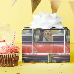 Golden Retriever mit Sicherheitsgurt Geschenkpapier