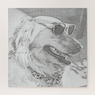 Golden Retriever mit Sonnenbrille