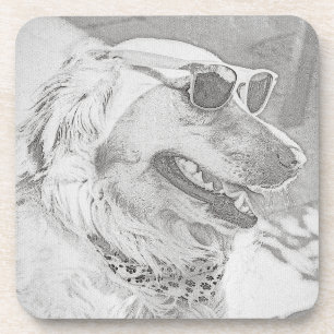 Golden Retriever mit Sonnenbrille Getränkeuntersetzer
