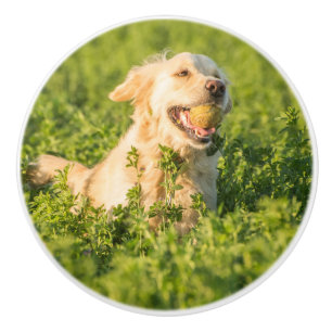 Golden Retriever mit Tennis Ball Keramik Knock Keramikknauf