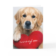 Golden Retriever mit Valentinsherzkissen