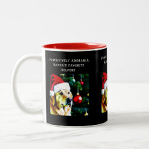 Golden Retriever mit Weihnachtsmannmütze auf Kaffe