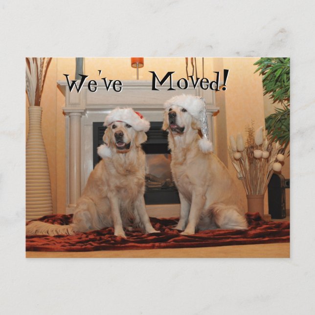 Golden Retriever mit Weihnachtsmannmützen auf eine Postkarte (Vorderseite)