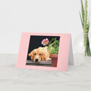 Golden Retriever Mon Coeur Est Votre Carte