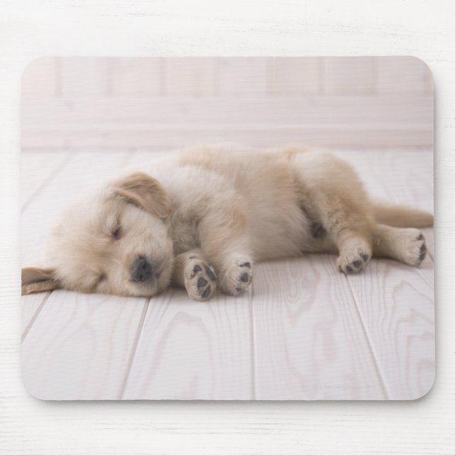 Golden Retriever Mousepad (Vorne)