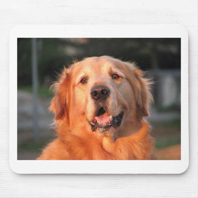 Golden Retriever Mousepad (Vorne)