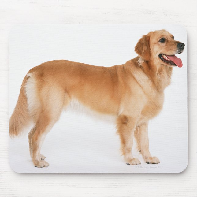 Golden Retriever Mousepad (Vorne)