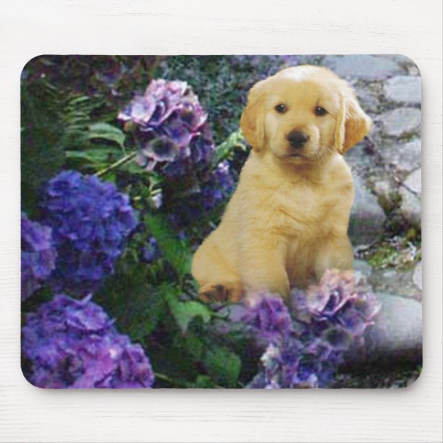 Golden retriever Mousepad Hydrangea (Vorne)